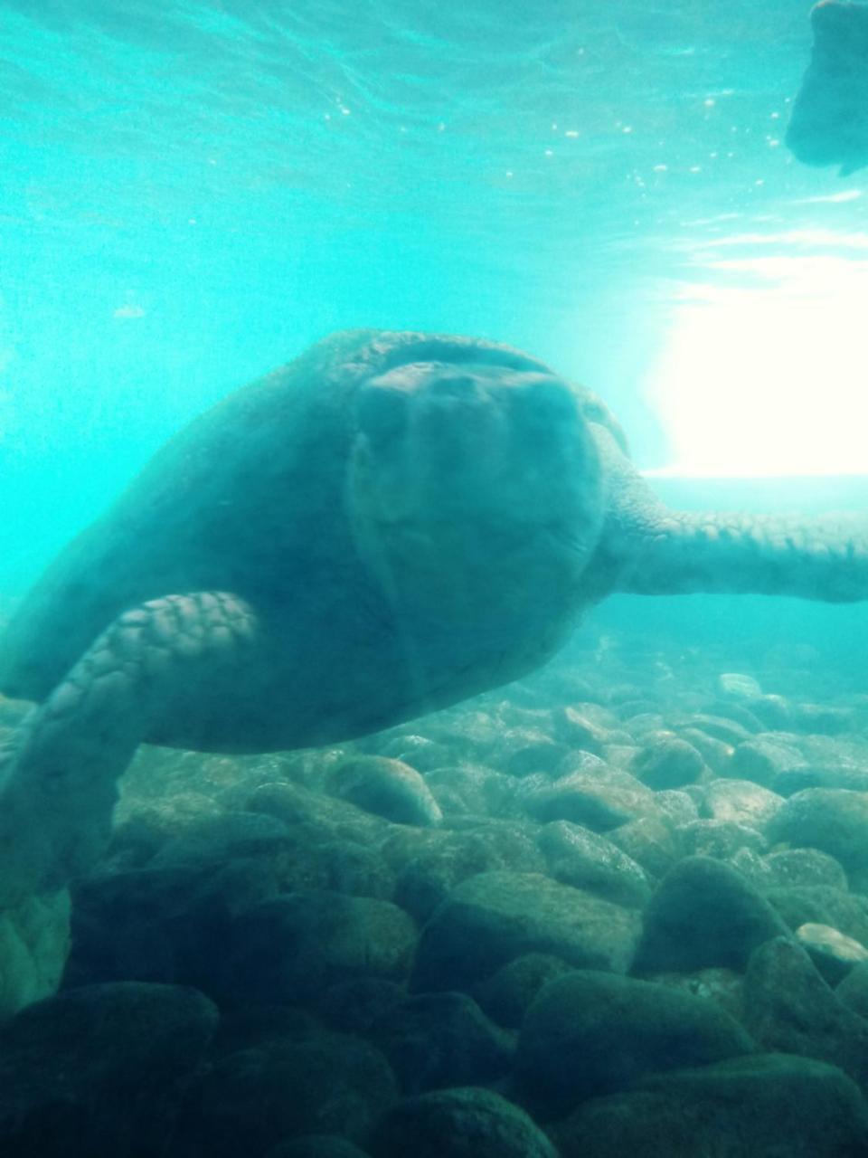 Lindas Suites A Uma Quadra Da Praia E Centro Ubatuba Dış mekan fotoğraf